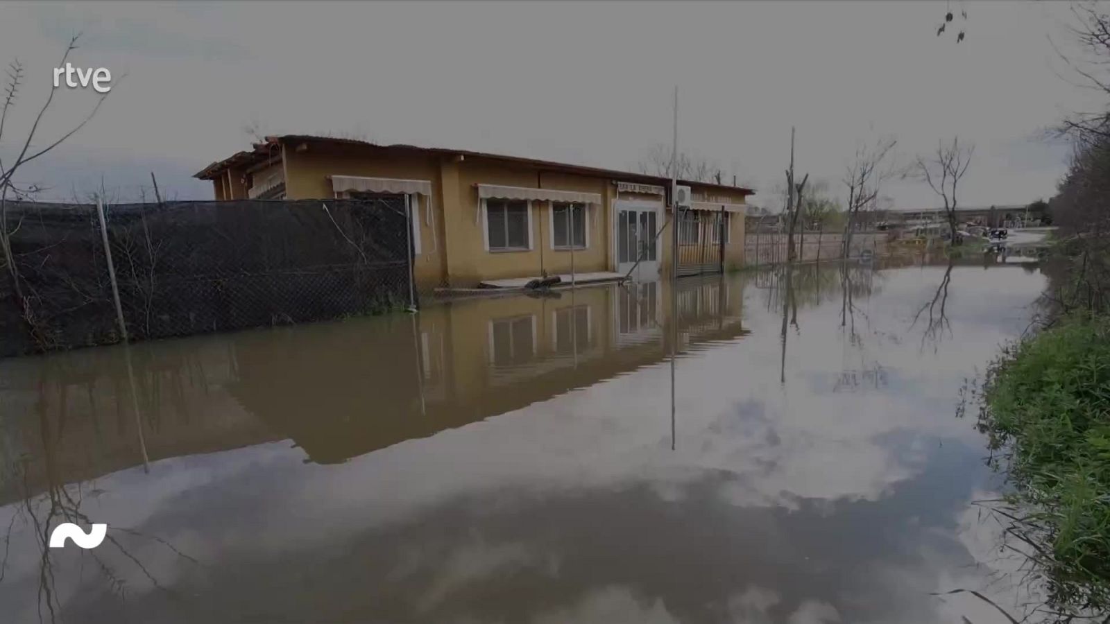 Mañaneros - Programa 371 - ver ahora