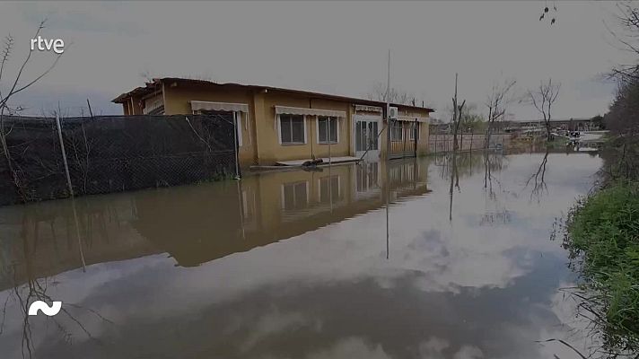 Mañaneros 360 - Programa 371