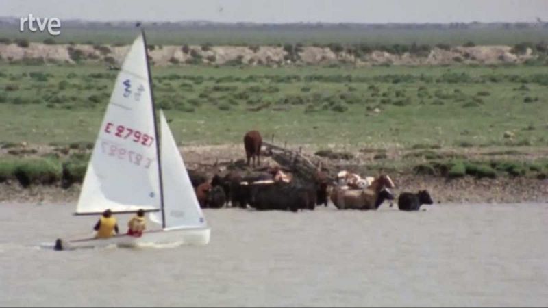 Vista previa: Los ríos - Guadalquivir (III) - Los ríos | Ver