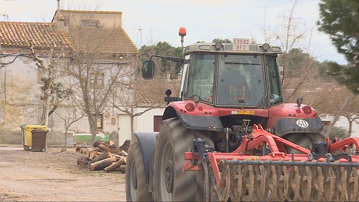 Telediario 1 - Triunfan los agroinfluencers: "Queremos favorecer el relevo generacional"