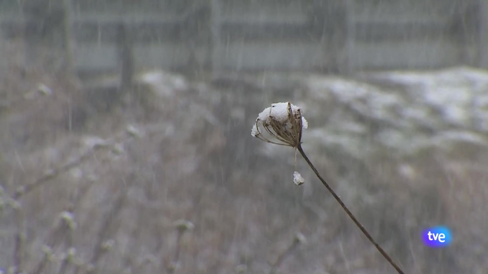 Asturias en 2' - 13/03/25 | Ver