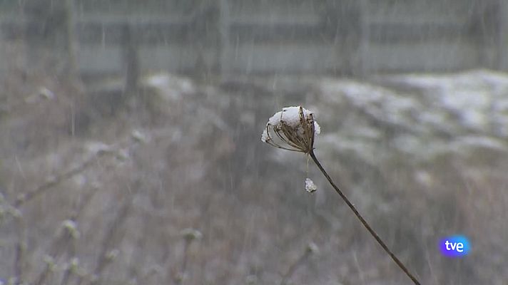 Panorama Regional - Panorama Regional 2 - 13/03/25