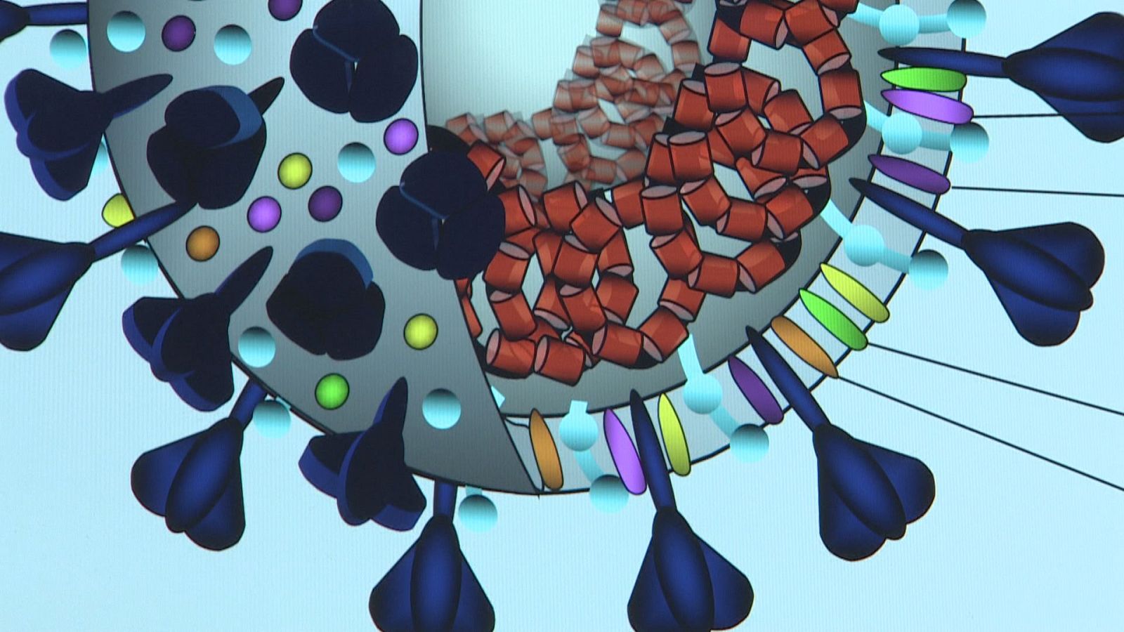 L'Informatiu de la Comunitat Valenciana 1 - 14/03/25 | Ver