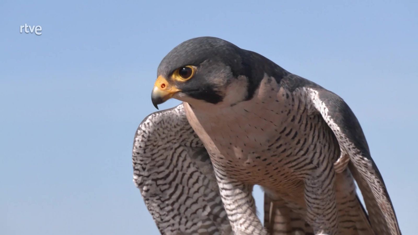 Aquí la Tierra - 14/03/25 - ver ahora