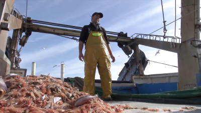 La mar revuelta