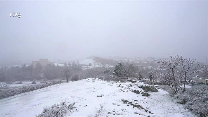 Telediario en lengua de signos - Telediario - 15 horas - 16/03/25 - Lengua de signos