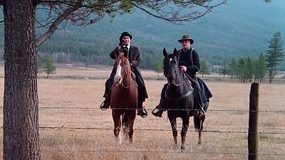El zorro gris