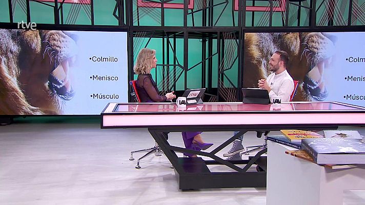 La aventura del Saber - La aventura del saber - 18/03/25