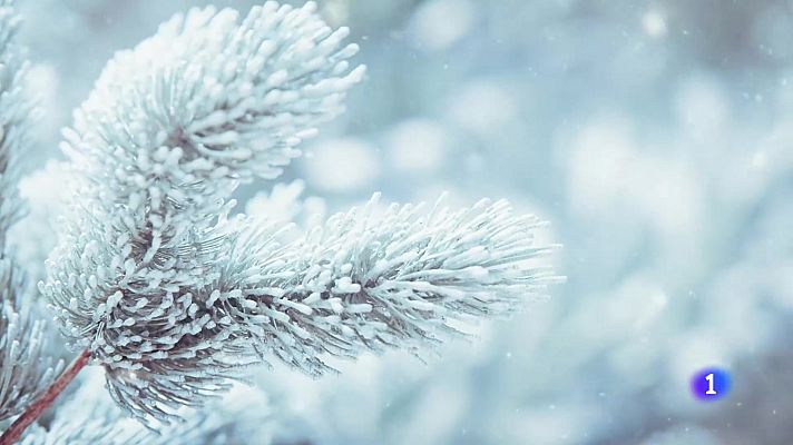 Telexornal - Galicia - El tiempo en Galicia    18-03-2025