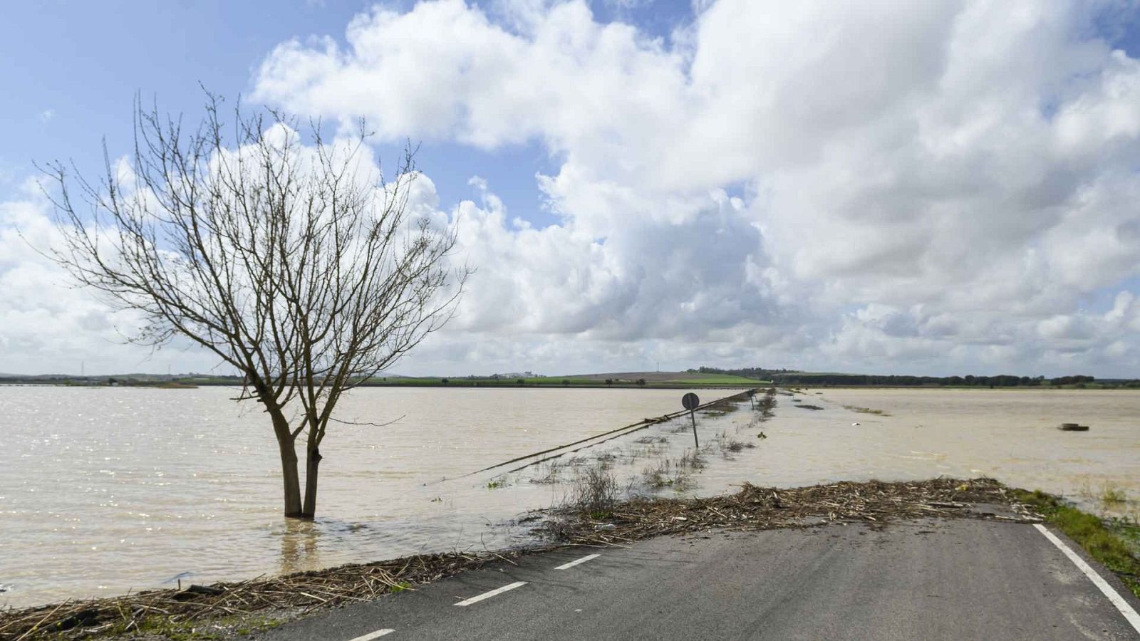 Telediario - 15 horas - 19/03/25 - ver ahora