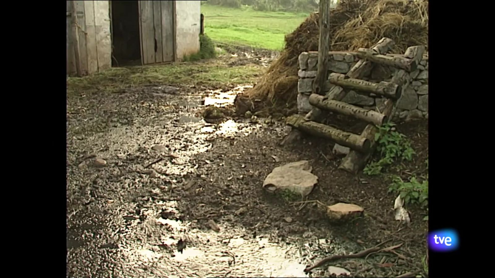 Asturias en 2' - 19/03/25 | Ver