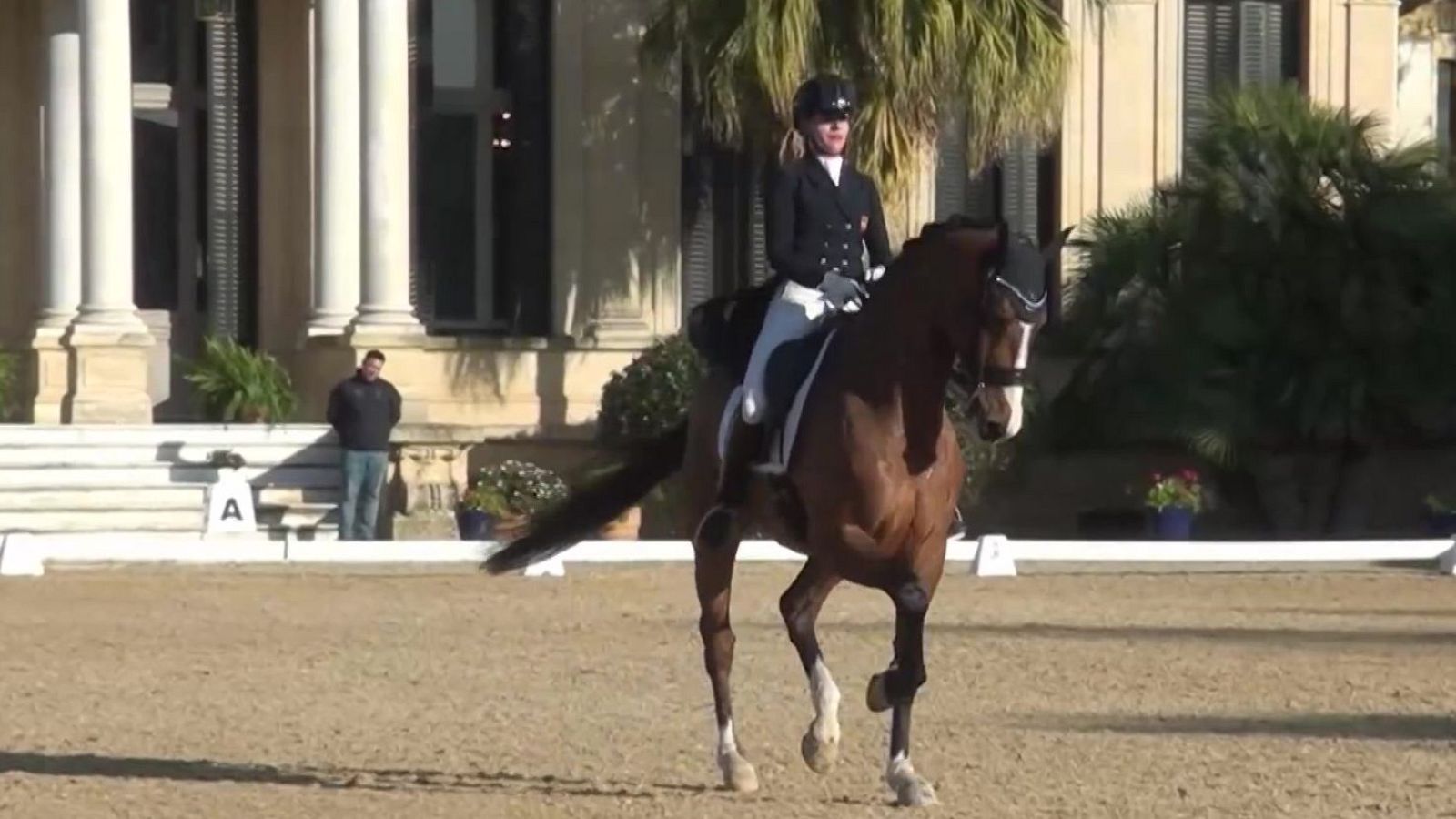 Hípica - Concurso internacional de Doma Clásica - ver ahora