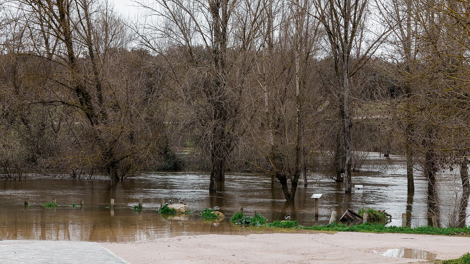 Telediario - 15 horas - 21/03/25 - ver ahora