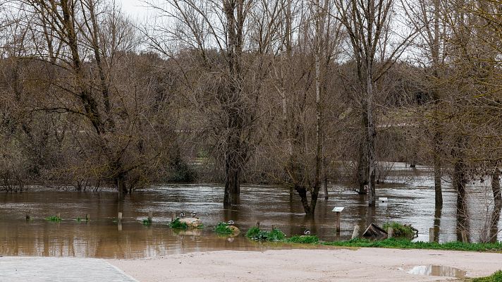 Telediario 1 - Telediario - 15 horas - 21/03/25