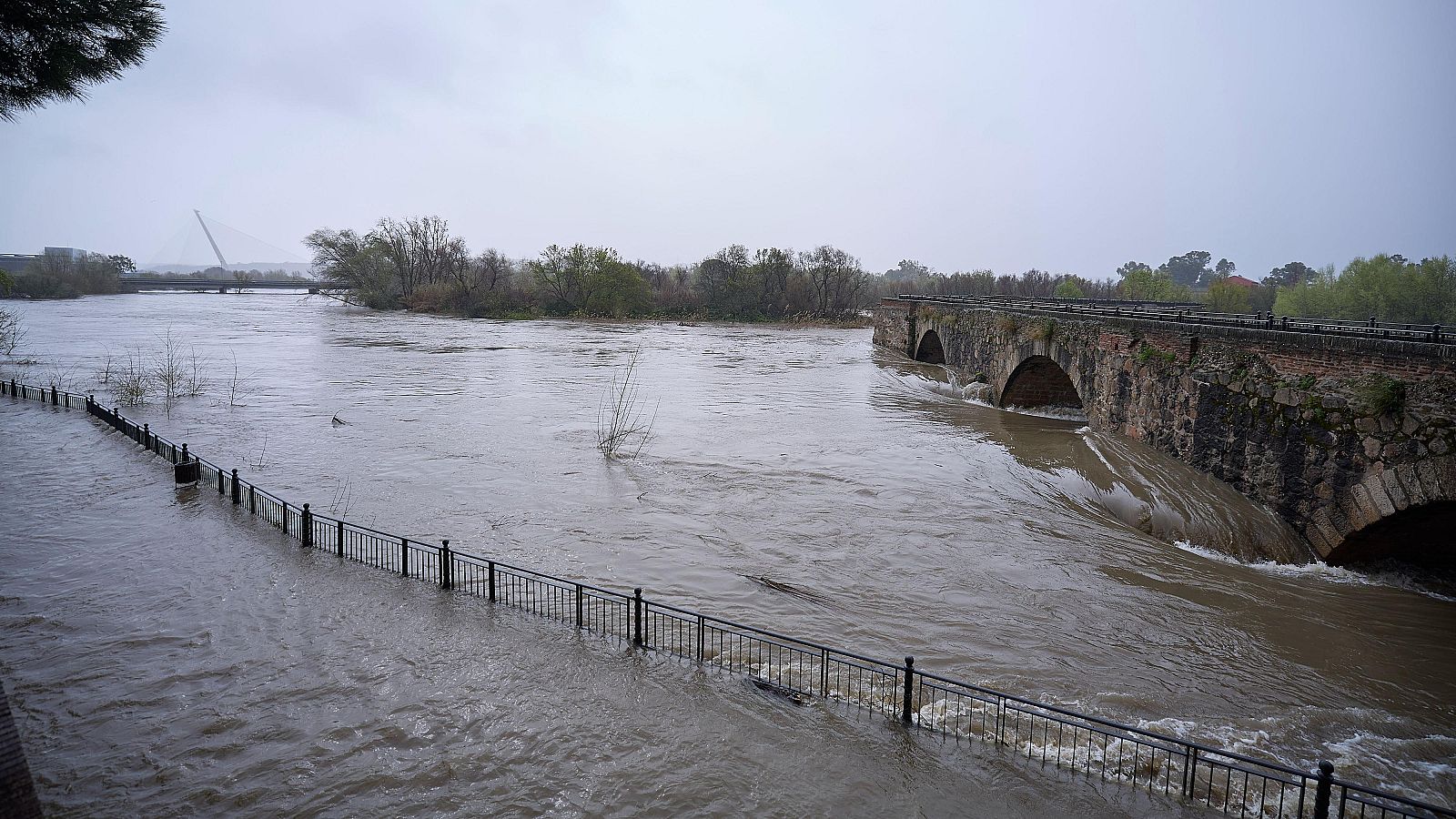 Martinho mantiene en alerta a media España | Ver