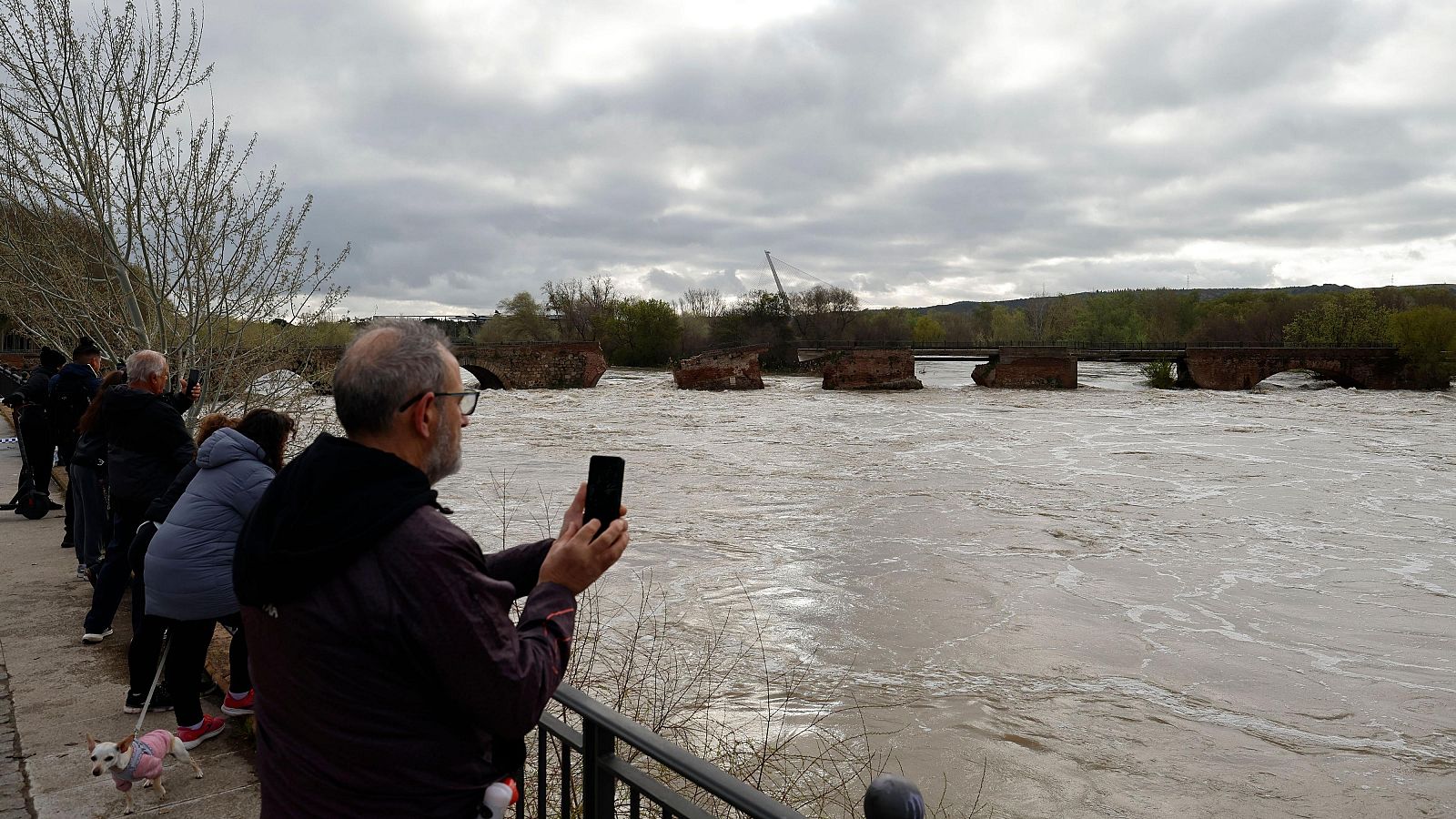 "La caída del puente romano de Talavera, una pérdida fundamental"