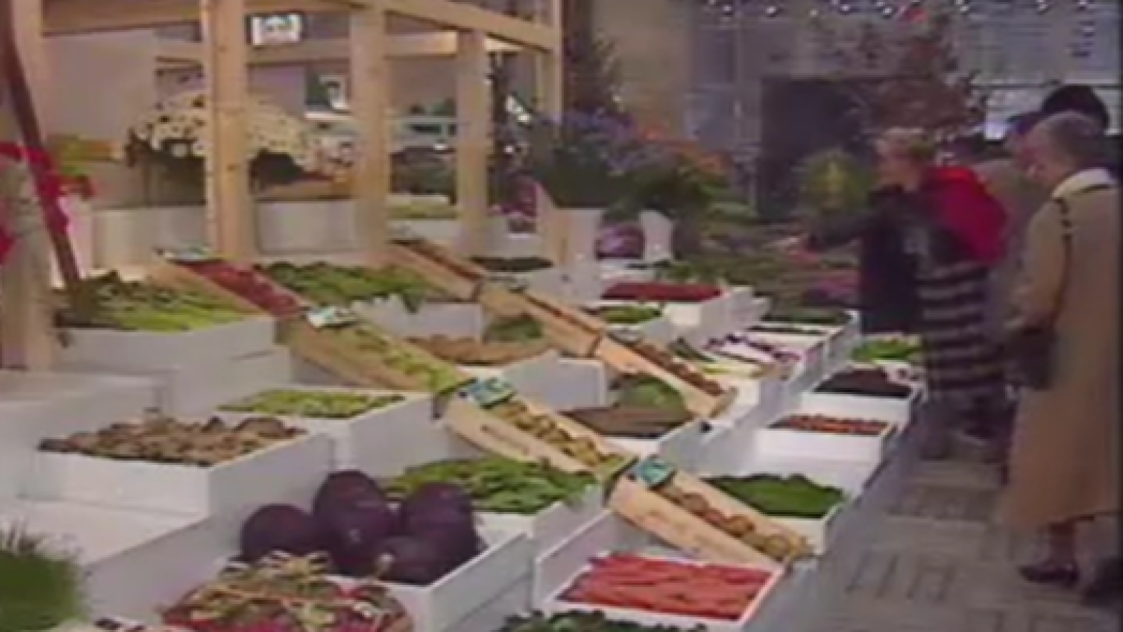 La controvèrsia verda - Europa - Arxiu TVE Catalunya - Europa (1987, català) | Veure