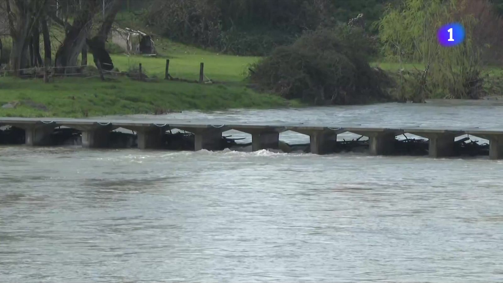 L'Informatiu 2 - 24/03/2025