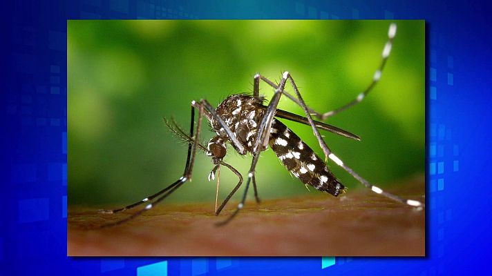 Saber y ganar - Saber y ganar - 24/03/25