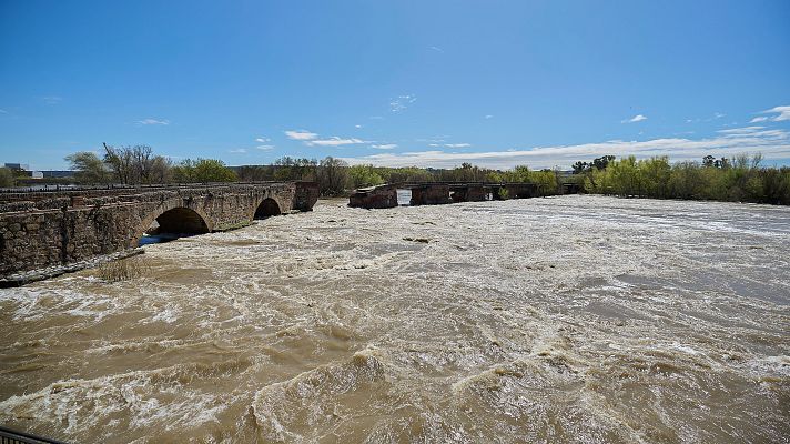 La tarde en 24h - La tarde en 24 horas - 24/03/25