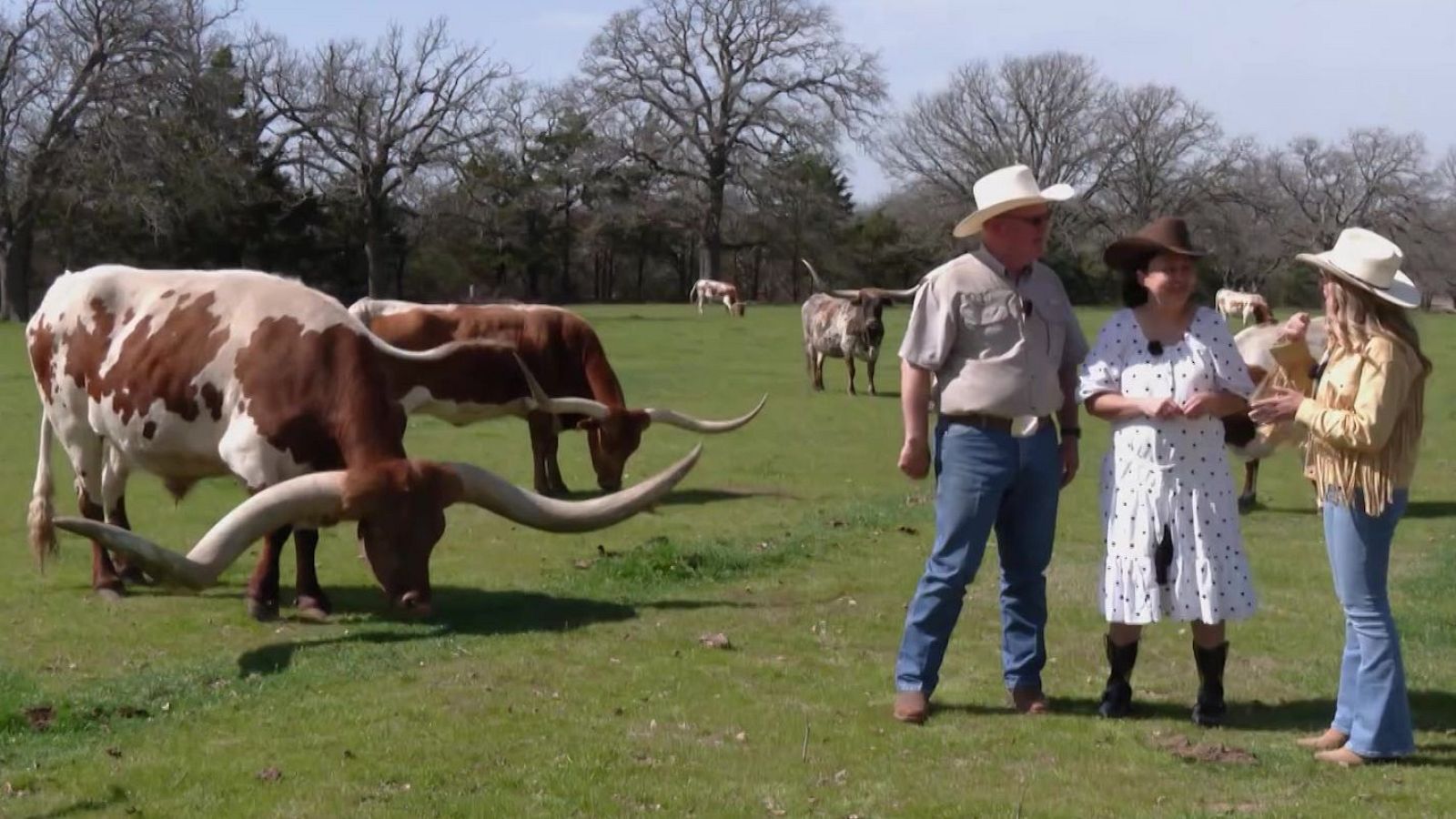 Un día en el rancho | Ver