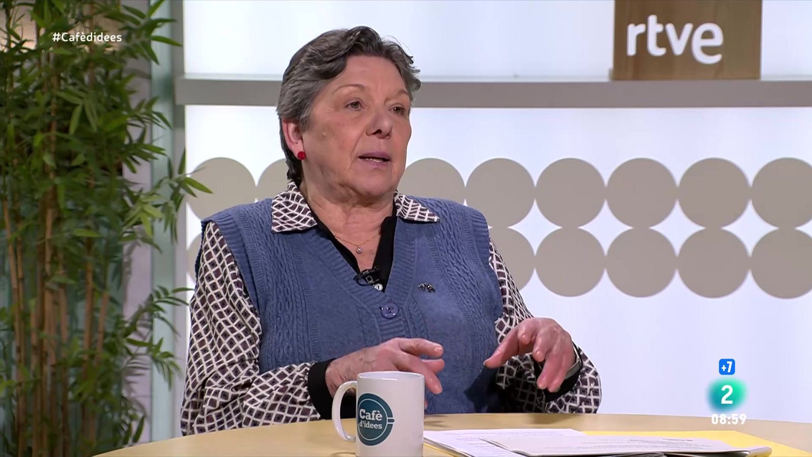 Gabriela Serra demana fermesa a les esquerres en l'oposició al rearmament | Veure