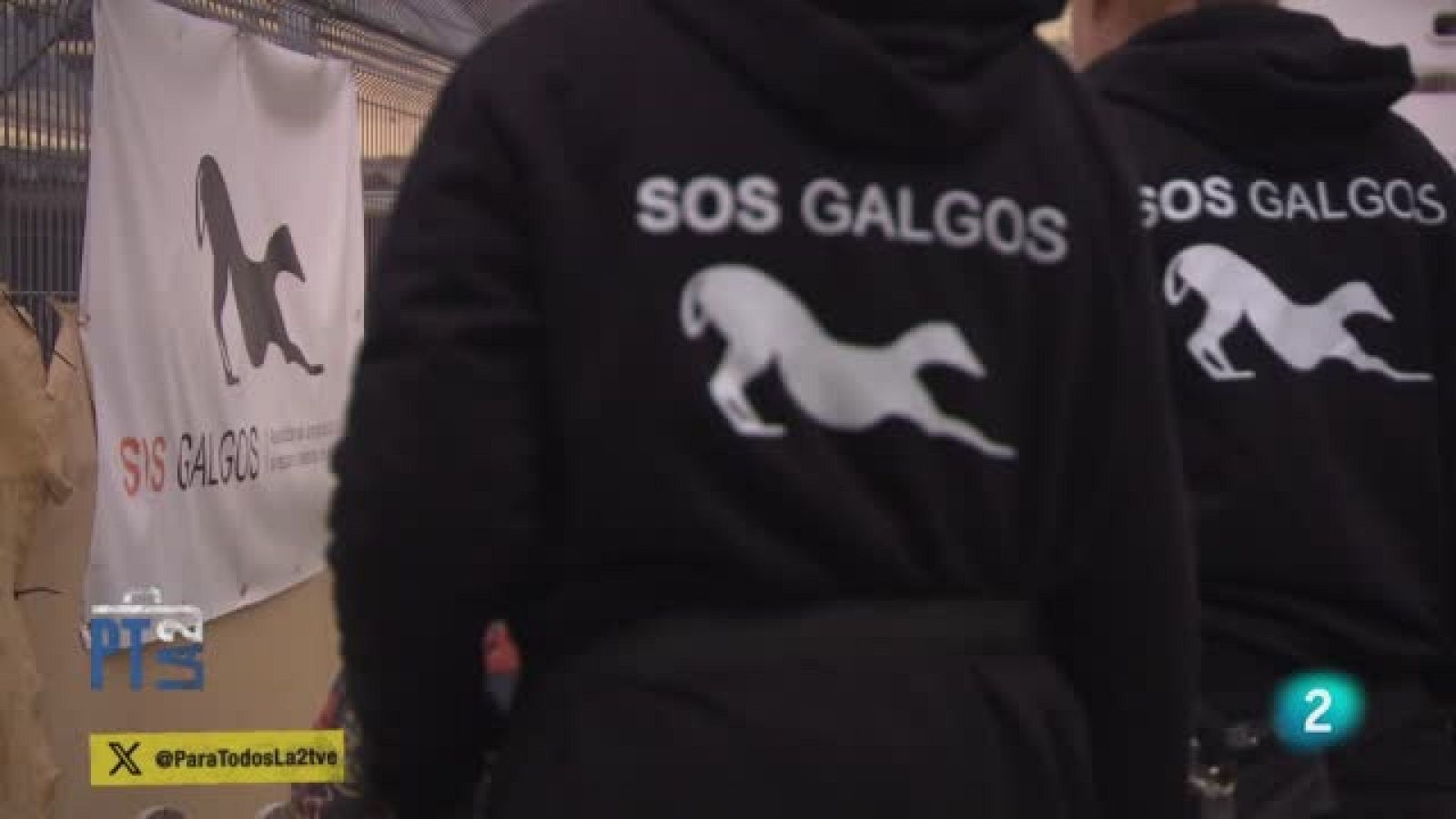 Sos galgos - Para todos La 2 | Ver