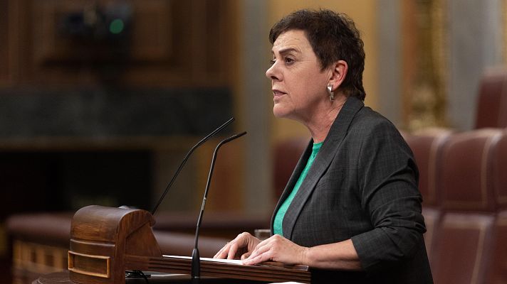 Modo Digital - Bildu defiende que Europa debe "ofrecer seguridad mediante la paz"