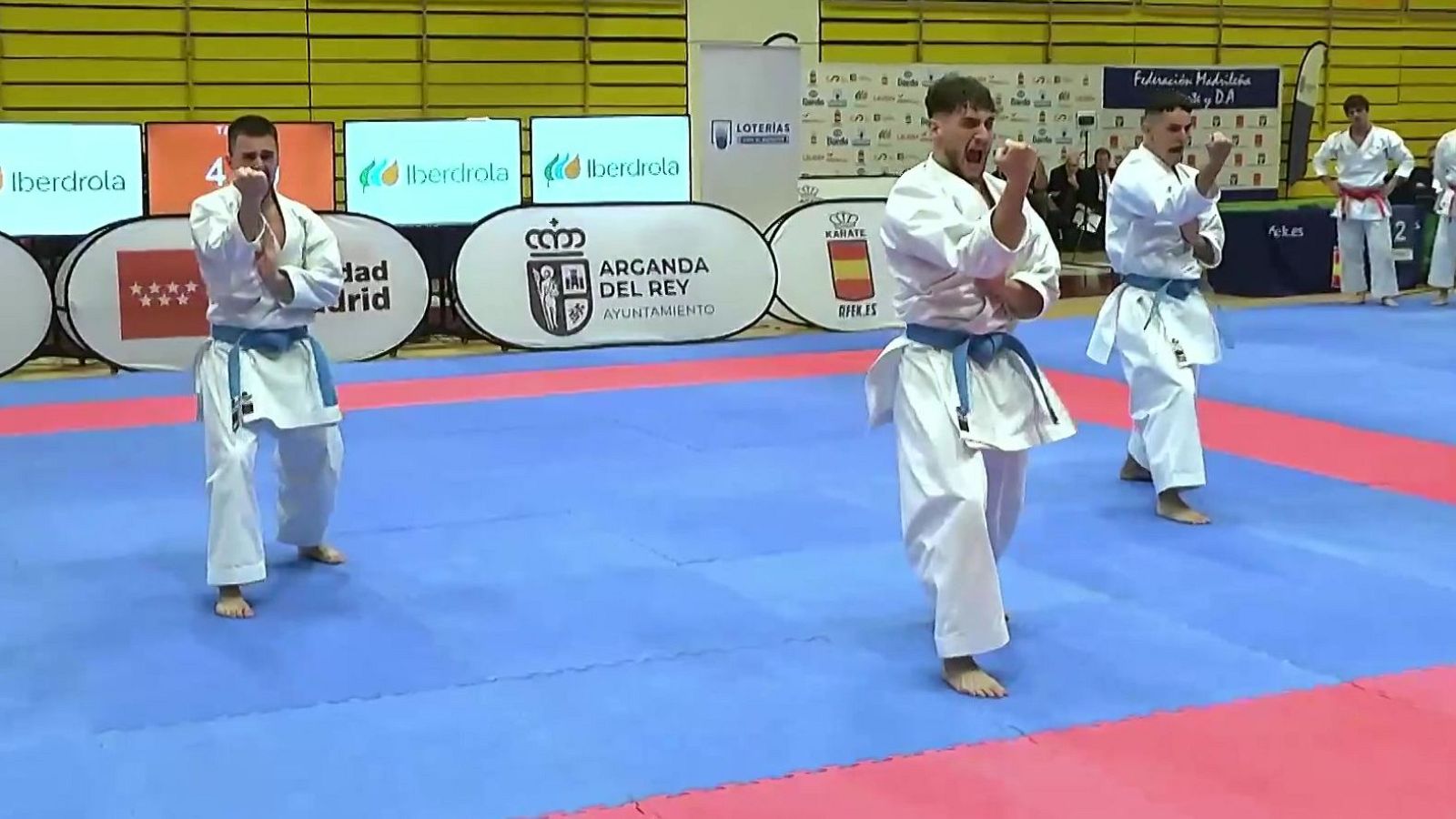Karate - Campeonato de españa 2025. Resumen - ver ahora
