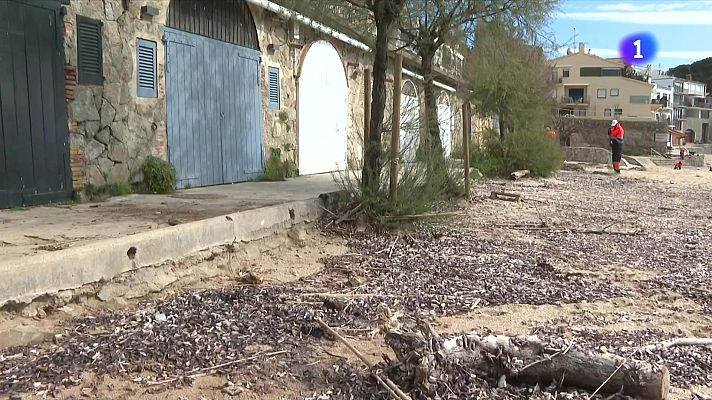 L'Informatiu - Onada de barquetes de Sant Pere a les platges de Calella de Palafrugell