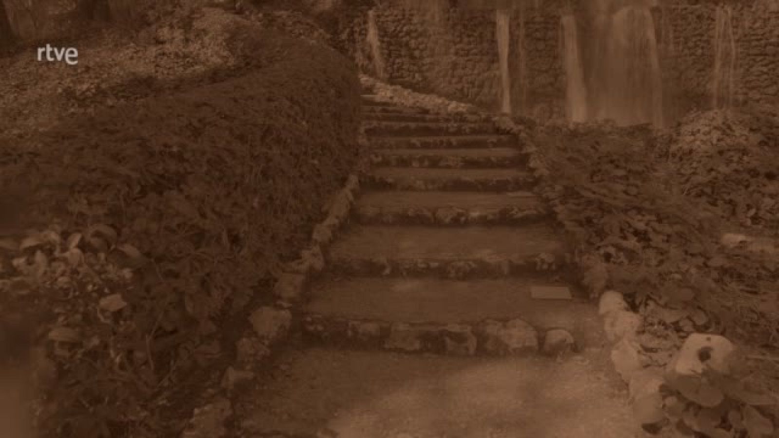 Primer avance de 'La familia de la tele' en RTVE | Ver