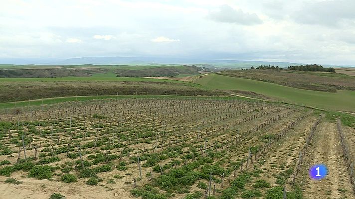 Informativo Telerioja - Informativo Telerioja 2 - 28-03-2025