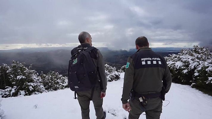 Proteger la tierra