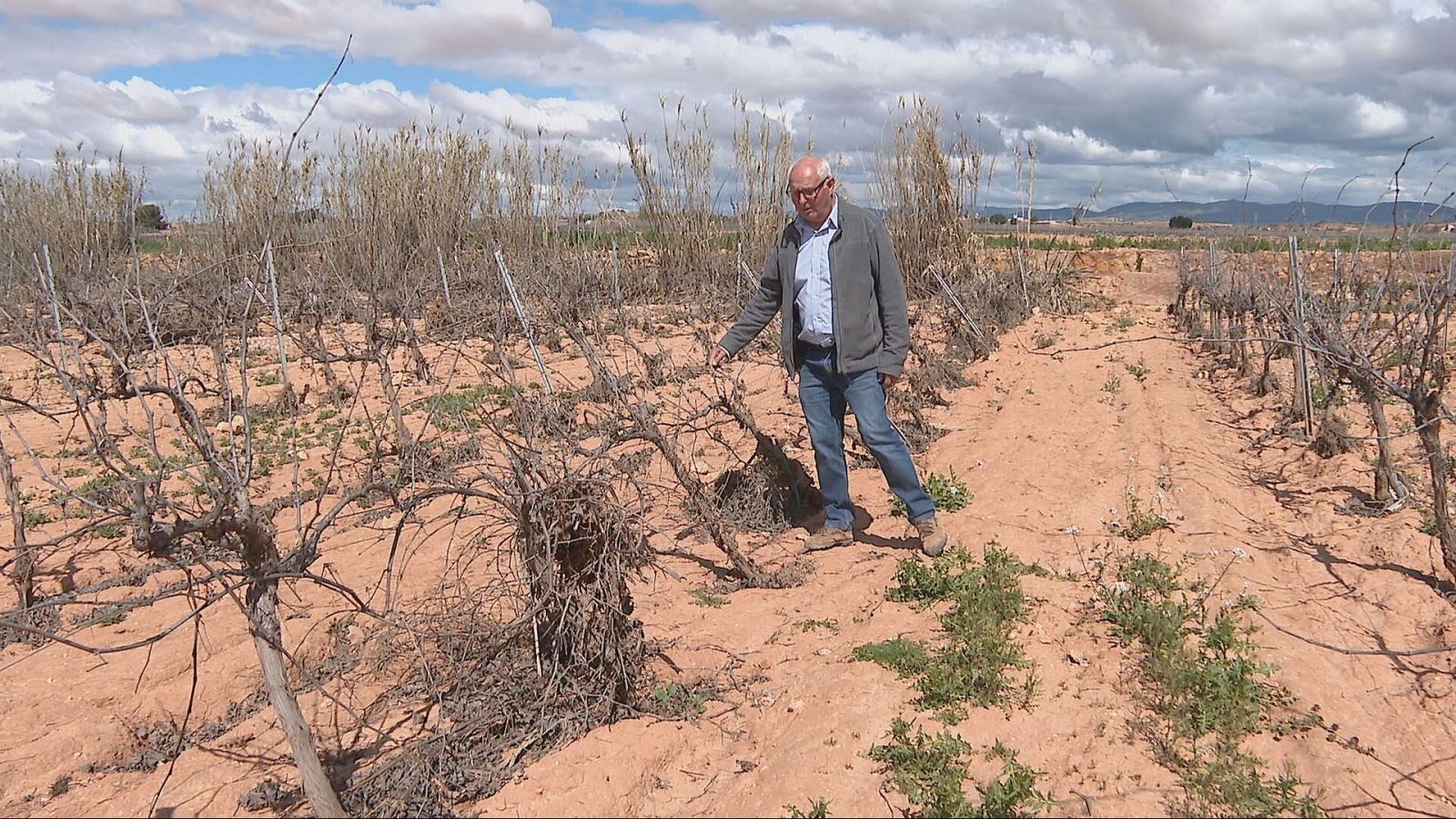 Agrosfera - 29/03/25 - ver ahora