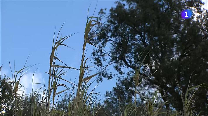 L'Informatiu - L'Informatiu - 29/03/2025