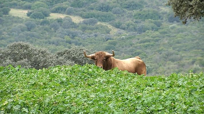 Tendido cero - Tendido Cero - 29/03/25