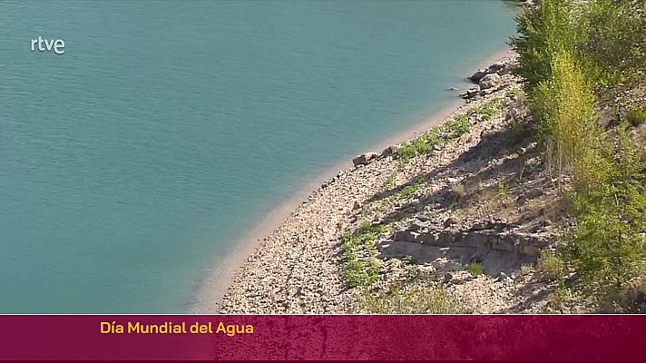 Parlamento - Día Mundial del Agua