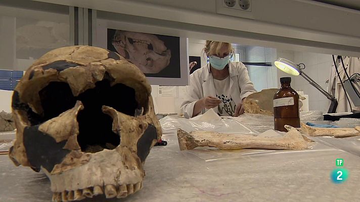 La aventura del Saber - ‘El sexo injusto’