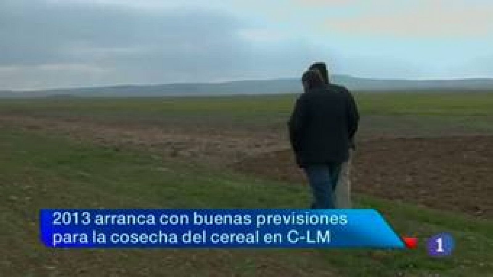 Noticias de Castilla-La Mancha: Noticias Castilla La Mancha en 2' (09/01/2013) | RTVE Play