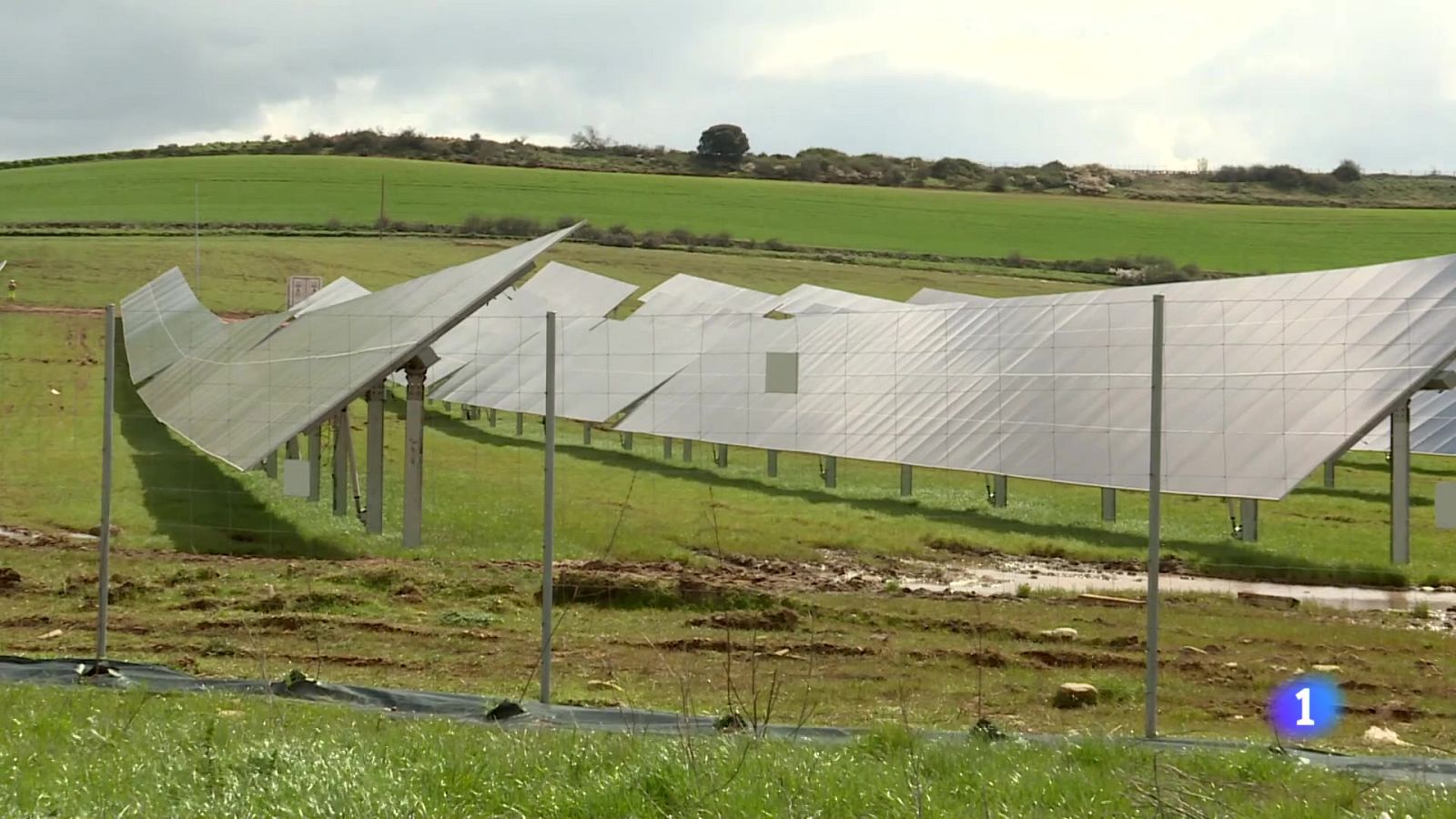 Informativo Telerioja 2 - 02-04-2025 - Informativo Telerioja | Ver