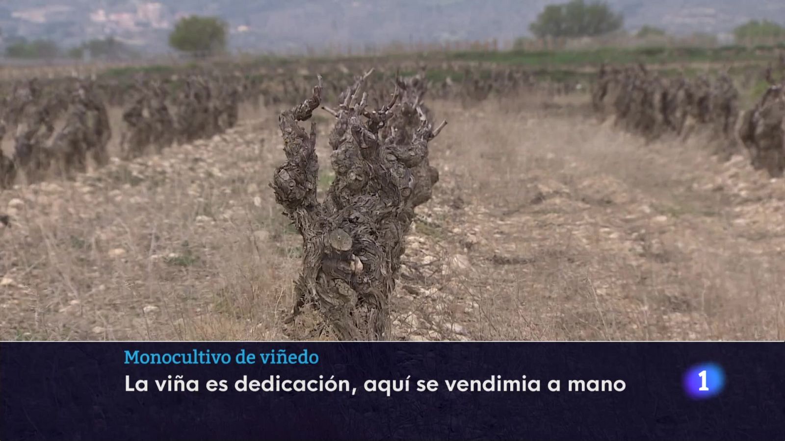 Informativo Telerioja - 03-04-2025 | Ver