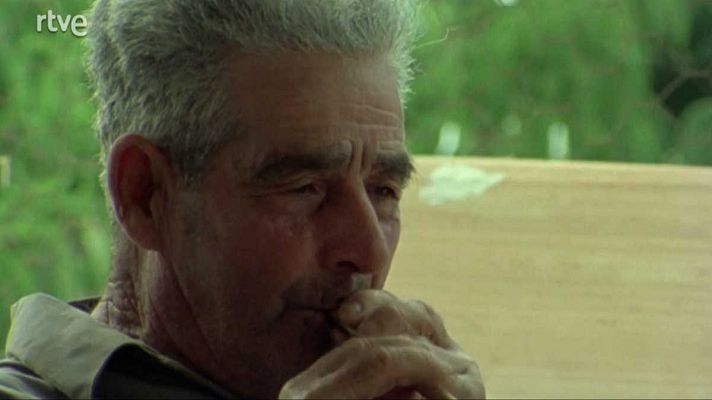 Raíces - Pep Simón de Formentera