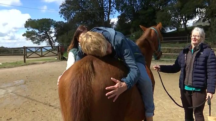L'altaveu - Equinoteràpia, fer teràpia amb cavalls
