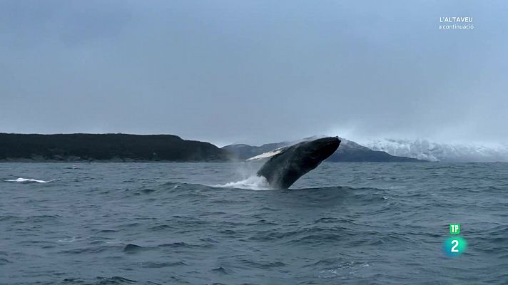 Atlàntic nord. L'oceà fosc. Explorant la foscor
