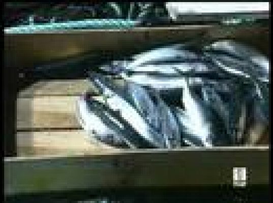  - Los pescadores siguen en lucha