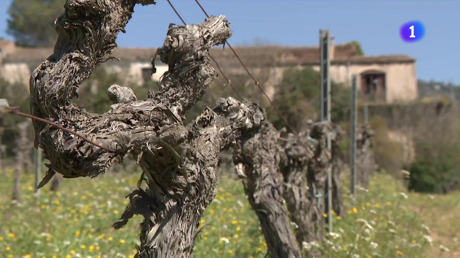 Alguns municipis de l'Alt Empordà i del Baix Camp, encara en alerta - L'Informatiu | Veure