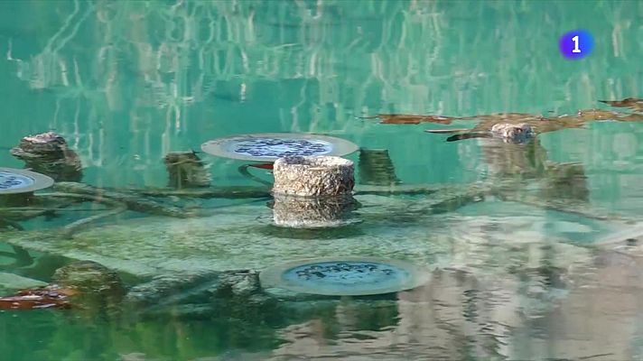 L'Informatiu - Torna a l'aigua a les fonts ornamentals barcelonines