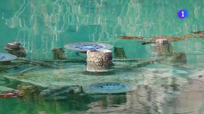 Torna a l'aigua a les fonts ornamentals barcelonines