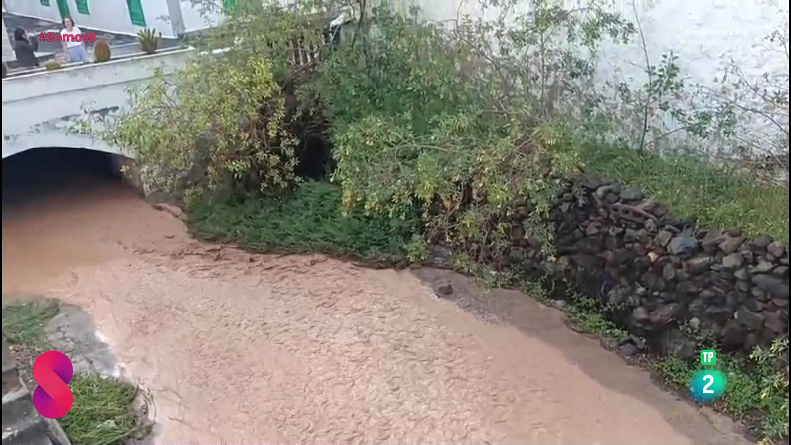 Somos 8 - 09/04/2025 - Somos 8 | Ver