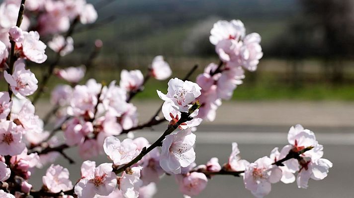 Telediario 2 - ¿Cómo afectarán a España los aranceles que la UE ha impuesto a EE.UU.?